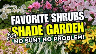 💚🌳 NO SUN NO PROBLEM These 10 Shrubs Will Make Your Shade Garden POP 🌲✨ [upl. by Trofmoc]