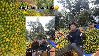 Suntala ligna chinneybas biruwa syangja tir dd vai ❤️😋somai vlog [upl. by Assenab]