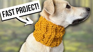 RIBBED CROCHET SNOOD FOR A DOG 🐶 Keep your dog warm this winter [upl. by Sterling]