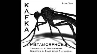 1915 The Metamorphosis by Franz Kafka Complete full free audio book [upl. by Tennos841]