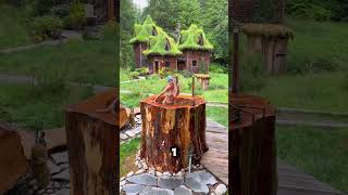 la plus belle maison de la jungle shorts viralvideo shortsfeed [upl. by Eloccin431]