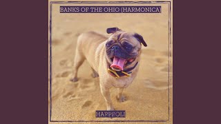 Banks of the Ohio Harmonica [upl. by Adnilem]