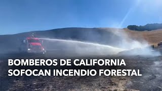 Bomberos de California sofocan incendio forestal [upl. by Zuckerman]