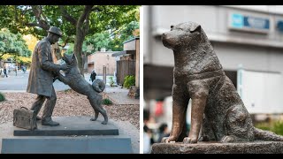 Hachiko a dogs story [upl. by Halil234]