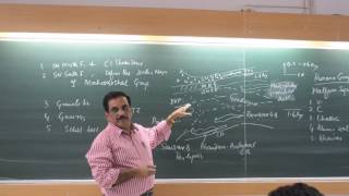 Stratigraphy and Tectonics of CITZ of India Part  24 by Prof T K Biswal IIT BOMBAY [upl. by Zollie881]