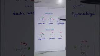 Chiral carbon and Achiral carbon Stereochemistry of Carbon compounds BSc General Chemistry [upl. by Nolyk]