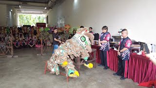 4K 包聖府恊會 Traditional Lion Dance Performance on 18 June 2023 [upl. by Gardiner]