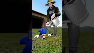 Help the MrBeast raise Sonic [upl. by Mauer169]