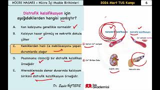 2024 Mart TUS  Patoloji Soru Kampı  Örnek Soru Çözümü  Dr Eyyüp ÜÇTEPE [upl. by Delsman]