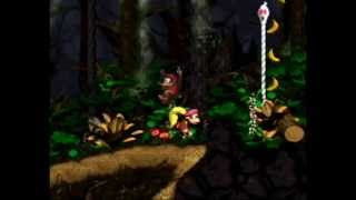 SGB Play Donkey Kong Country 2 Diddys Kong Quest  Part 11 [upl. by Atnod806]