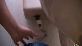 Replace Leaking Fill Valve and Shut Off Valve and Toilet Water Connector [upl. by Alyak]