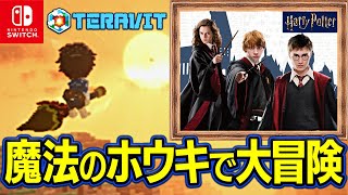 【完全無料】テラビット「ハリポタの島 魔法学校卒業」つくってみた！参加大歓迎 [upl. by Winfred]