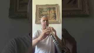 Larghetto Haendel lygeros clarinet musicalinstrument music youtubeshort viralshorts [upl. by Sadye]