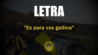 quotEs para vos gallinaquot LETRA  PEÑAROL [upl. by Arch]