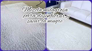 COMO LAVAR UNA ALFOMBRA EN CASA DIY LIQUIDO QUE SI SACAN LA MUGRE  TIPS DE LIMPIEZA [upl. by Nathanoj623]