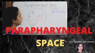 170Parapharyngeal space Anatomy Parapharyngeal space anatomylectures [upl. by Ordnaxela]