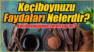 Keçiboynuzunun Faydaları Nelerdir Nasıl Tüketilir Keçiboynuzunun Zararları Nelerdir [upl. by Kline490]