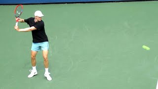 Denis Shapovalov Forehand amp Backhand Technique Slow Motion [upl. by Amsa207]