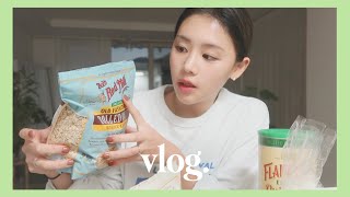 3일간 1원도 안 쓰고 집에서 집밥먹는 일상 vlog 🍚 후무스 만들기오트밀 소개 [upl. by Margret]