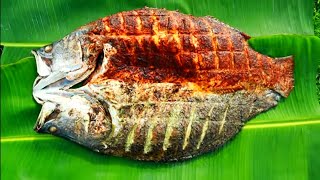 BUTTERFLY GRILLED FISH പൂമ്പാറ്റ മത്സ്യം കനലിൽ ചുട്ടത്  M4 TECH [upl. by Maurits]