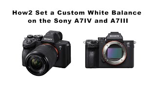 How to Set a Custom White Balance for Sony a7iv a7iii 2022 [upl. by Maryjane]