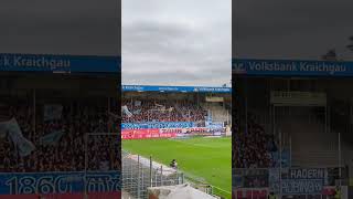 🦁Löwen vs Investor und zum Glück zurück 🎉  🏟️ 3Liga  ⚽ SV Sandhausen vs TSV 1860 München [upl. by Eldnar]