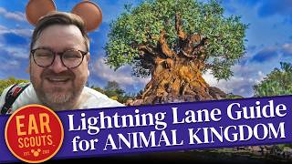 Lightning Lane Strategy for Animal Kingdom Our Best Tips for Multi Pass at Walt Disney World [upl. by Carmel]