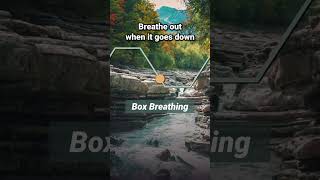 Box Breathing 5 seconds each side [upl. by Ynttirb]