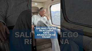 Esto piensa Salinas Pliego sobre la medida de aranceles de Donald Trump shorts [upl. by Teragramyram]