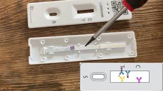 Lateral Flow Test Teardown [upl. by Sissy738]