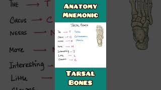 Tarsal Bones  mnemonic  Anatomy Ortjopaedics shorts [upl. by Dash176]