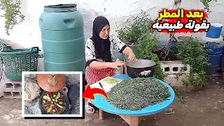 روتين صباحي ديالي فالطبيعة زوينة من بعد الشتا 🌧️ الحمد لله وصوبت بقولة 🍃 من خيرات أكتوبر 🍁 [upl. by Woodie]