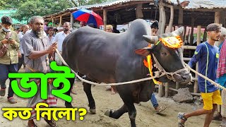 Bhai Koto Nilo Paragram Hozrotpur Gorur Haat 2022  Part 34  Qurbani Cow Price in Bangladesh [upl. by Burkley]