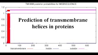 Transmembrane protein  Transmembrane region in Protein sequence  TMHMM [upl. by Amabel157]