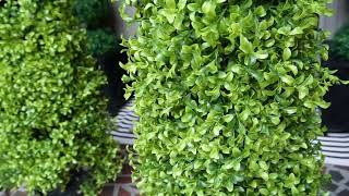 Artificial Boxwood Stylish Greenery for Home amp Garden  MaintenanceFree Décor [upl. by Iohk309]