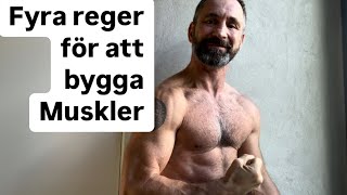 Fyra regler för att bygga muskler [upl. by Airetas285]