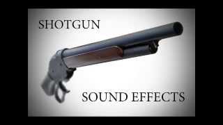 Shotgun Sound Effects [upl. by Combe]