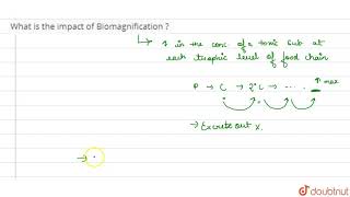 What is the impact of Biomagnification [upl. by Garv]