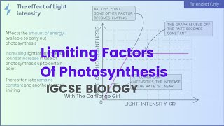 Limiting Factors of Photosynthesis IGCSE Biology thecambrigegirl [upl. by Vento]