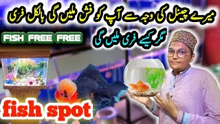 lalukhet fish aquarium  FISH SPOT inki shop par zabardast aquarium package ke sathe Karachi 🐟🐠🦐 [upl. by Vilma900]