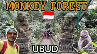 Sacred Monkey Forest  Hindu temples and Monkeys in Ubud [upl. by Swope]