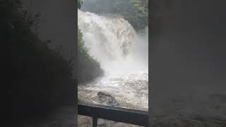 😳Looking Glass Falls Brevard NC after Hurricane Helene 😮😮😮 hurricanehelene helene [upl. by Pitts]