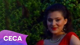 Ceca  Mokra trava  Official Video 1991 [upl. by Annayat]