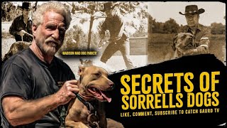 INTERVIEW Madison Parker  SECRET To SORRELLS Dogs MadisonParker BertSorrells Pitbull Bloodline [upl. by Okier]