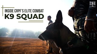 India’s elite K9 squad  How the CRPF trains its combat dogs [upl. by Hsirahc]