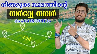 How to find survey number of land using a mobile application  സർവ്വെ നമ്പർ  daduzcorner [upl. by Calendre]