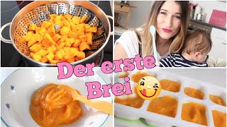 BEIKOSTSTART 👶 DER ERSTE BREI FÜRS BABY ab dem 4 Monat  REZEPTVIDEO amp ALLES WAS DU WISSEN MUSST [upl. by Aerdied98]