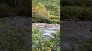 River hatchers pass Alaska [upl. by Bernardo]