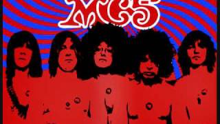 Power Trip  MC5 [upl. by Rufena530]