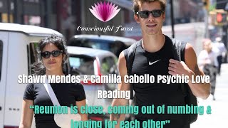 Shawn Mendes amp Camilla Cabello Psychic Love Reading💘What will transpirePredictions on reunion❤️‍🔥 [upl. by Lockhart]